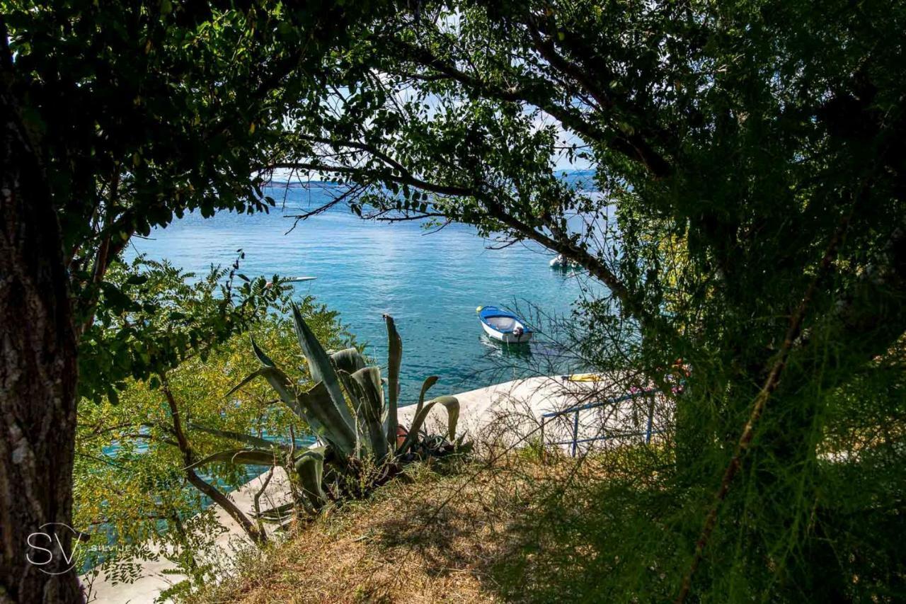 Holiday home White Heritage House Cizici