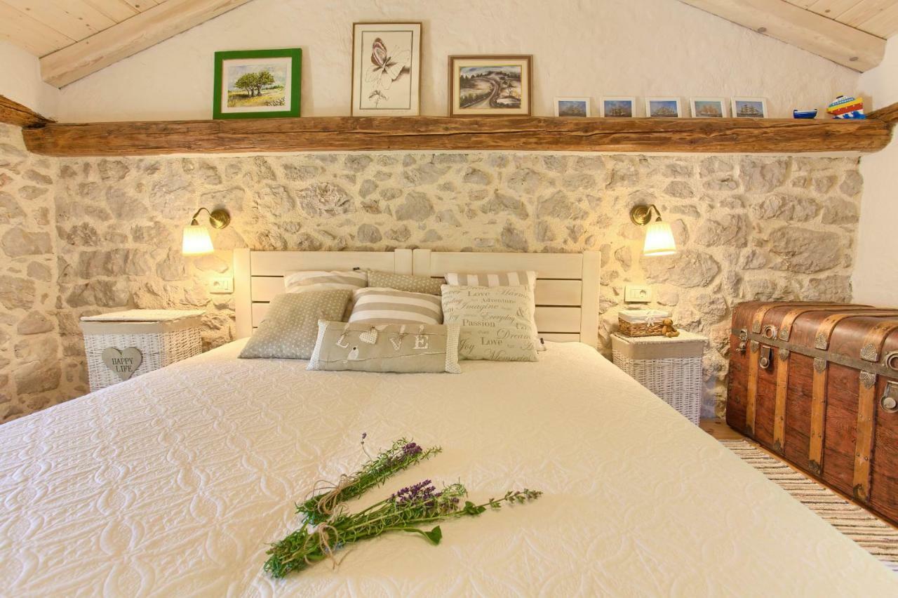 White Heritage House Holiday home Cizici